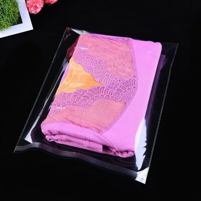 Полипропиленовый пакет с клеевым клапаном 20х30+5см  (Пленка БОПП)